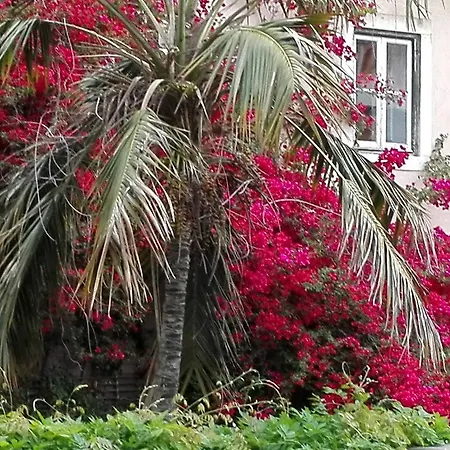 Apartamento Casa De Sao Pedro, Bairro Alto